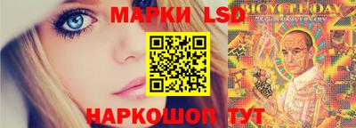 МДПВ Камышлов