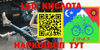 МДПВ Камышлов