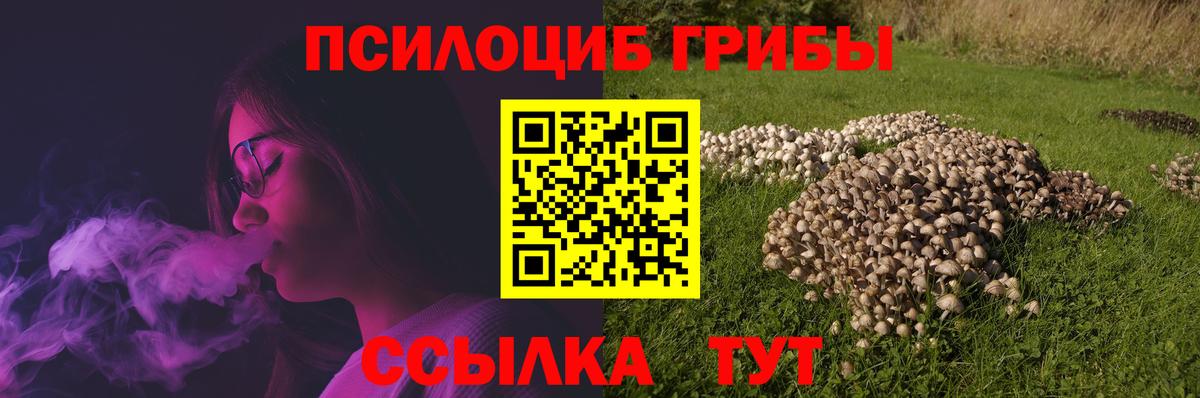 Псилоцибиновые грибы Cubensis  Псилоцибиновые грибы MAGIC MUSHROOMS  Вход с VPN  Магнитогорск 